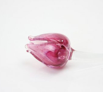 Tulp, roze